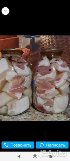 Вьетнамские поросята