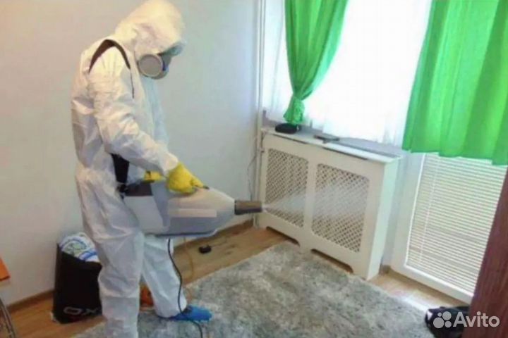 Уничтожение тараканов, травить клопов. Дезинфекция