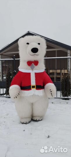 Поздравление Мишка Тедди и Большой Белый Мишка