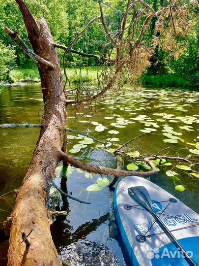 Прокат аренда SUP доски / сапборд / сабборд :