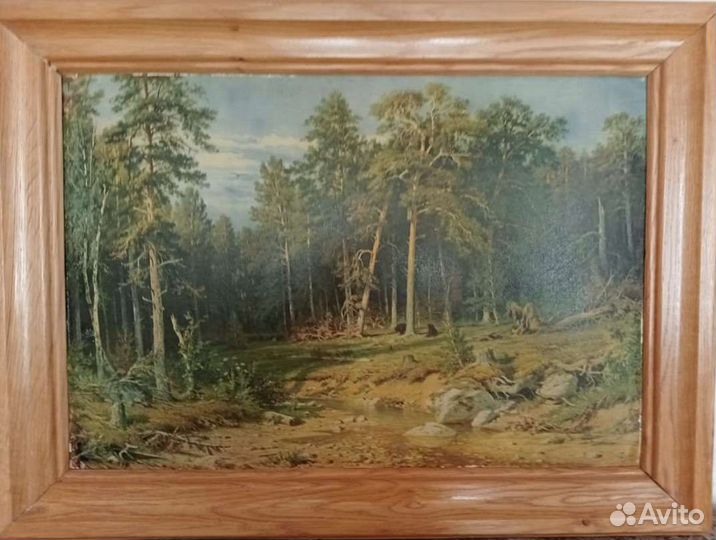 Кариина 1872г.в