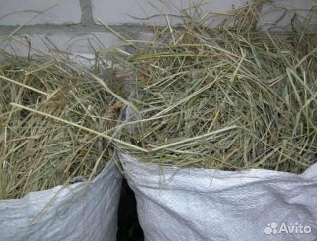 Луговое сено в мешке 50 литров