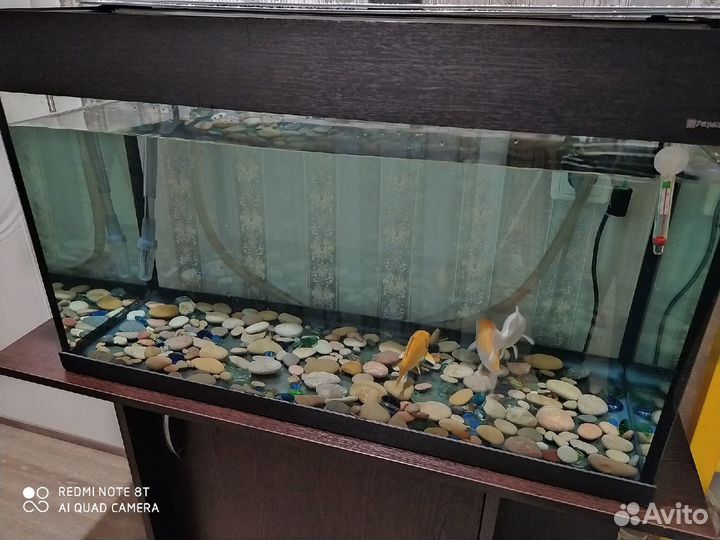 Аквариум Фильтр Компрессор