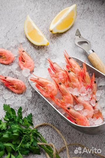 Креветки северные