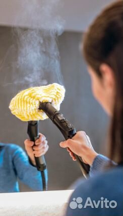 Пароочиститель karcher аренда