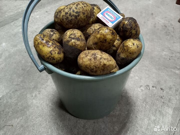 Продам картофель с доставкой