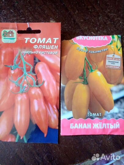 Рассада томатов