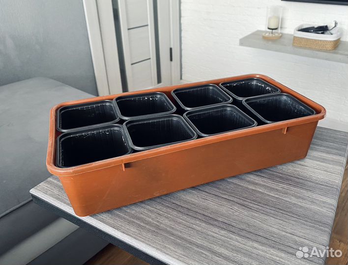 Ящик для рассады