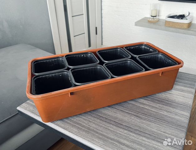 Ящик для рассады