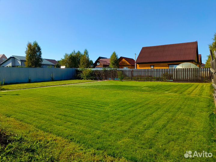 Передержка собак