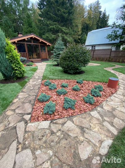 Рулонный газон / под ключ