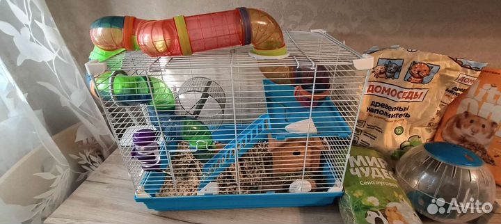 Клетка для грызунов большая