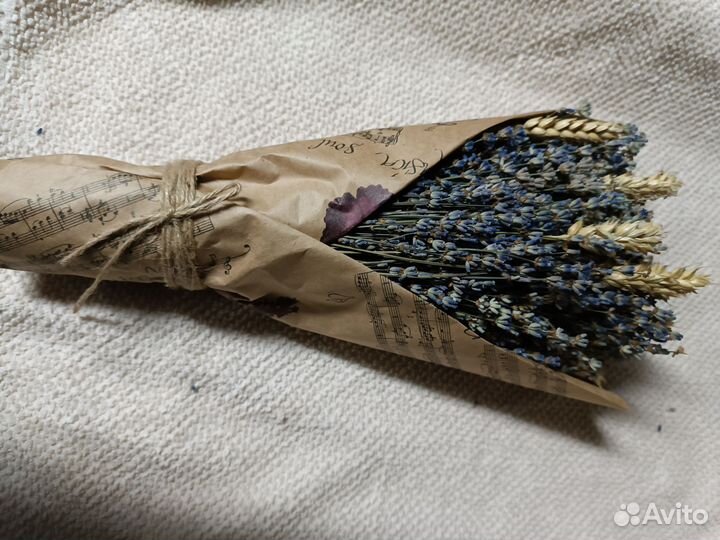 Лаванда любая, доставка бесплатно,в наличии