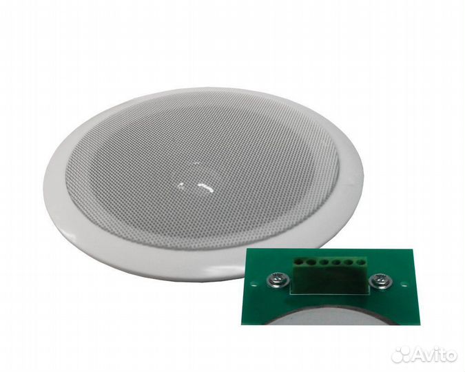 Громкоговоритель глагол-П-1