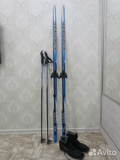 Беговые лыжи