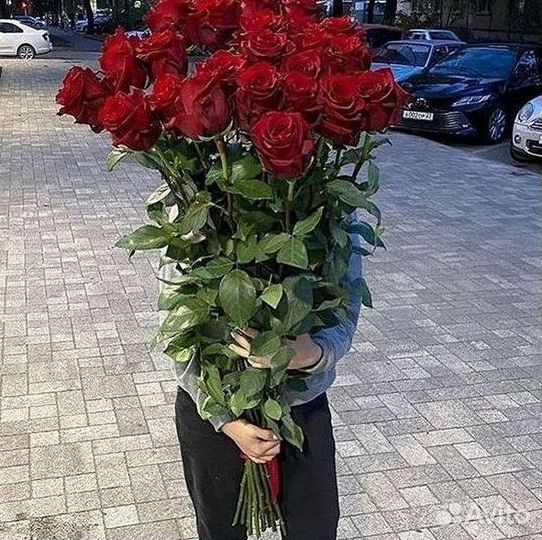 Высокие розы Гигантские розы Доставка цветов