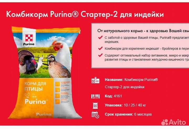 Индейка,перепела