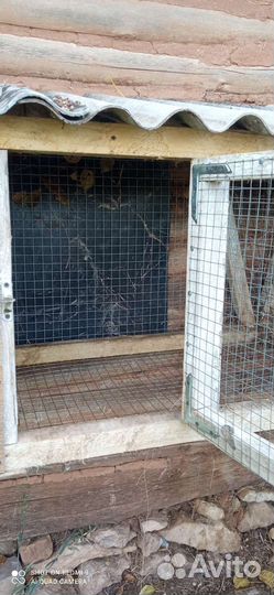 Крольчатник