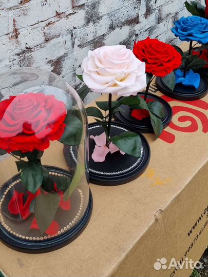 Роза в колбе оптом и в розницу