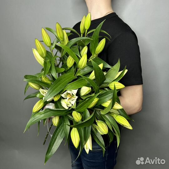 Лилии яркие