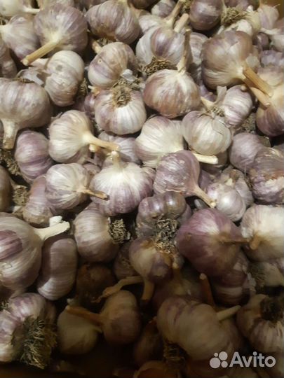 Продаю домашние овощи