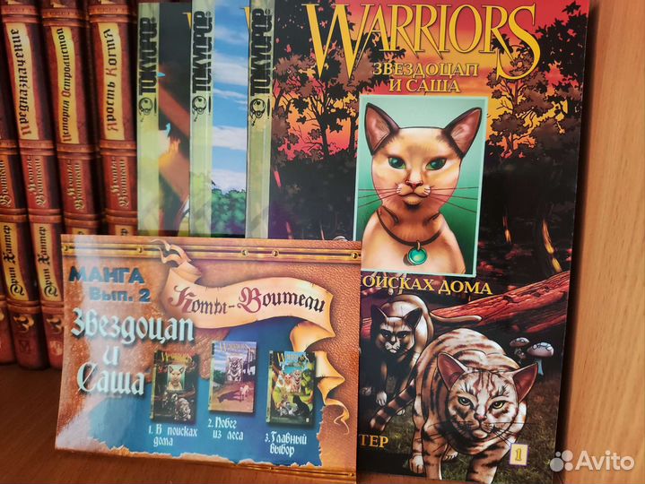 Коты воители манга Крутобок и Бич Звездопад и Саша