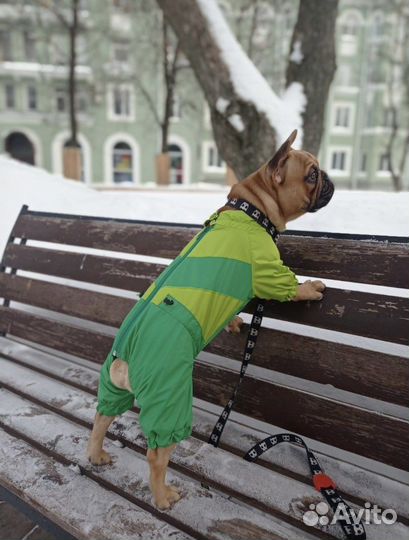 Комбинезон для собак