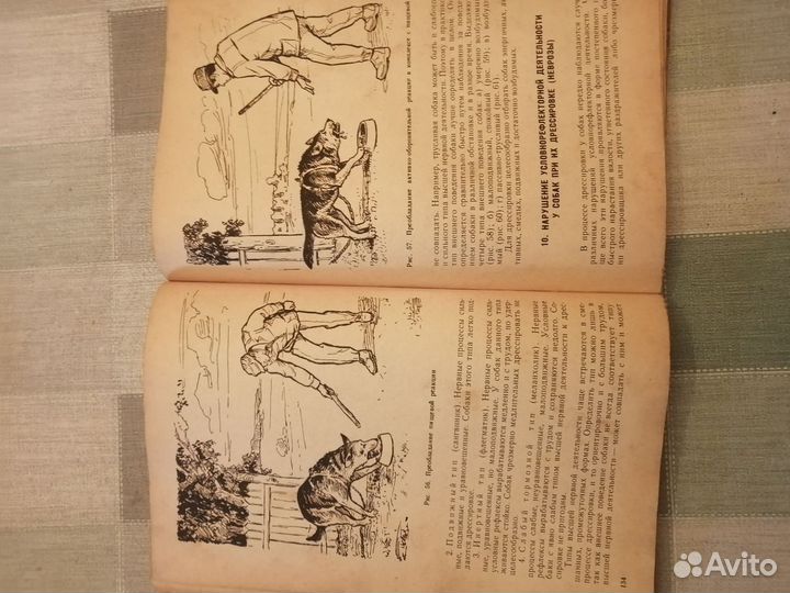 Книга собаководство СССР