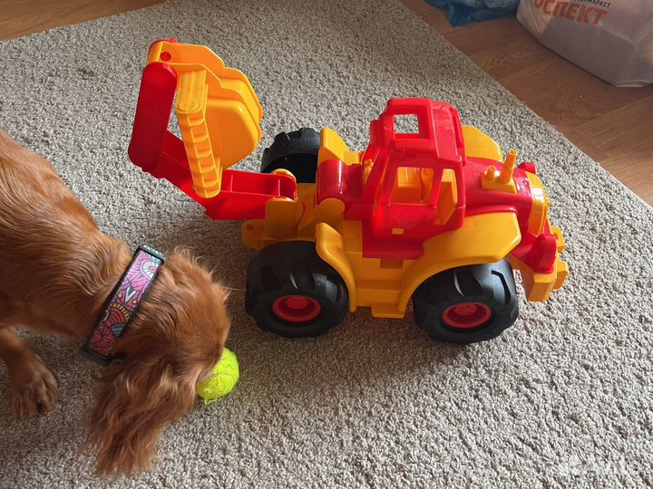 Экскаватор большой