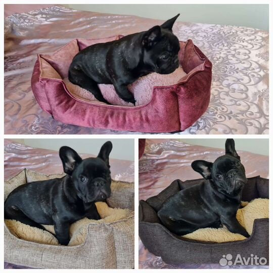 Лежанка для собак и кошек