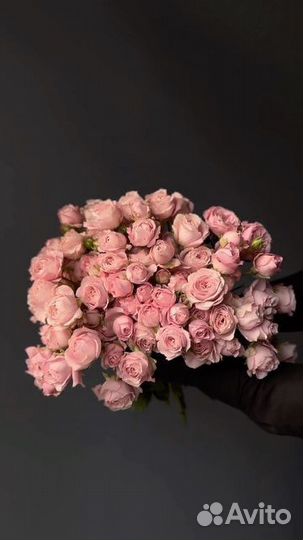 Кустовые розы