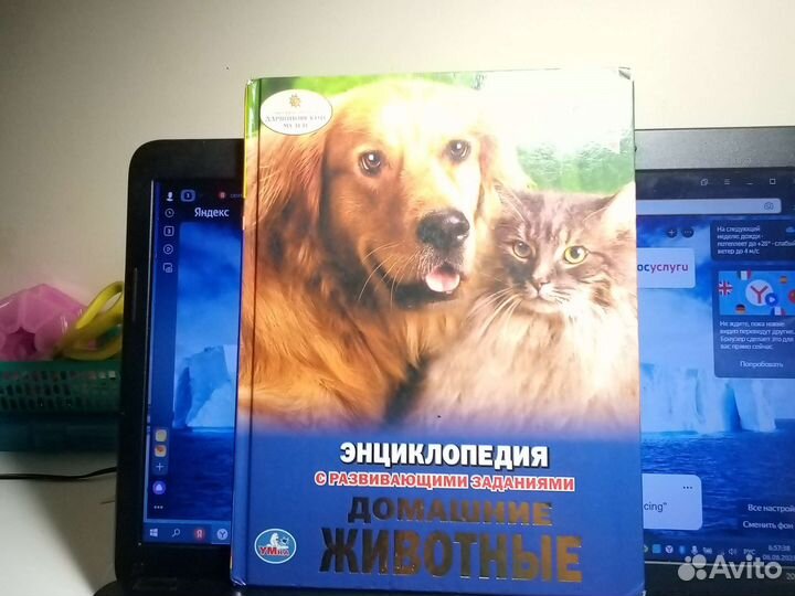 Энциклопедия домашние животные