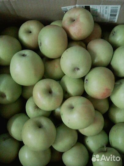 Продукты питания