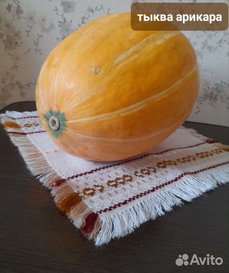 Тыква коллекционные семена