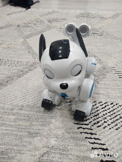 Собака робот