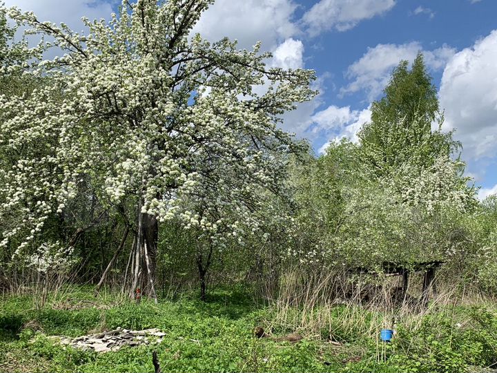 Участок 14 сот. (ИЖС)