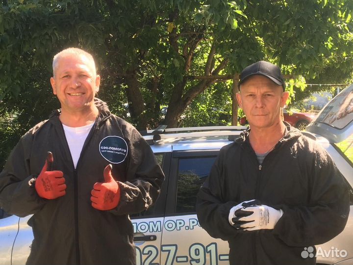 Уничтожение тараканов помор клопов мышей короеда