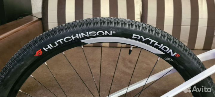 Новый карбоновый Sunn 29