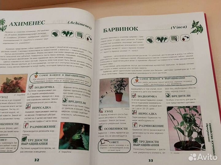 Энциклопедия комнатных растений