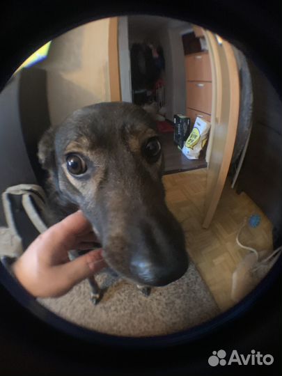 Обьективы для мобильного макро и фишай