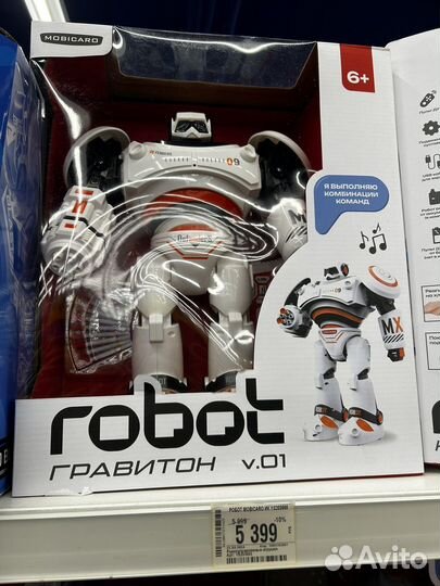 Интерактивный робот