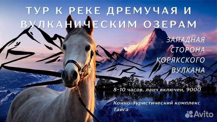 Конные прогулки