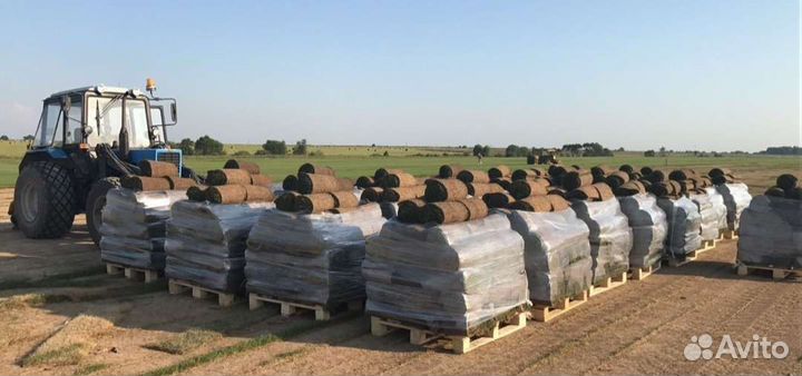 Рулонный газон