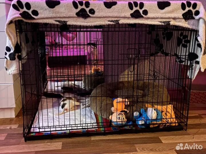 Клетка для собак усиленная №5 и №3