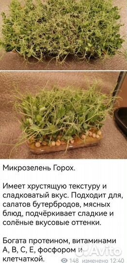 Микрозелень