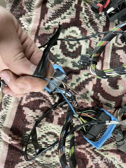 Проводка торпеды фокус 2