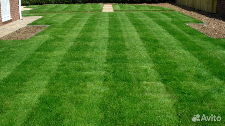 Рулонный газон производство, доставка, укладка