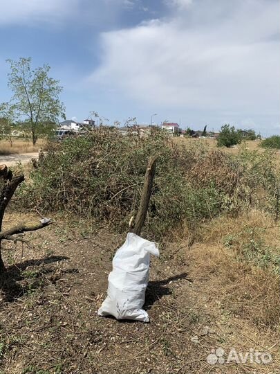 Услуга по измельчению веток, уничтожим все ветки