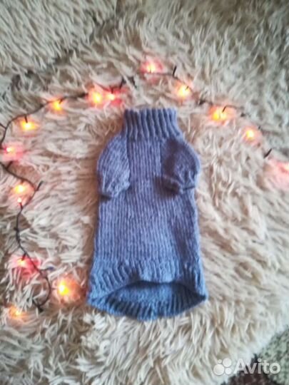 Одежда для собак и кошек