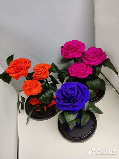 Роза в колбе оптом и в розницу